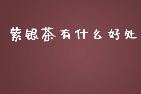 紫银茶有什么好处_https://wap.yjjixie.cn_证券市场_第1张