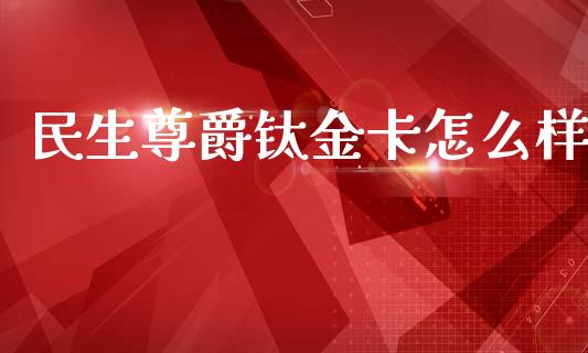 民生尊爵钛金卡怎么样_https://wap.yjjixie.cn_证券市场_第1张