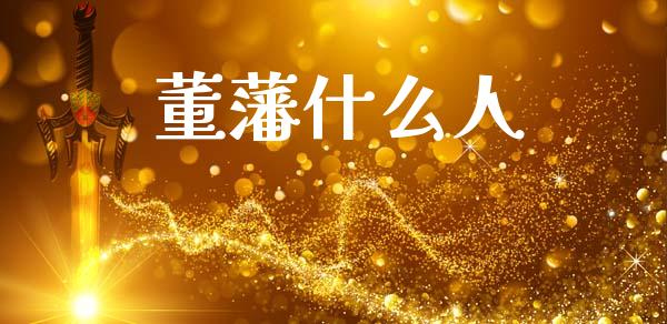 董藩什么人_https://wap.yjjixie.cn_证券市场_第1张