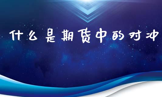 什么是期货中的对冲_https://wap.yjjixie.cn_证券市场_第1张