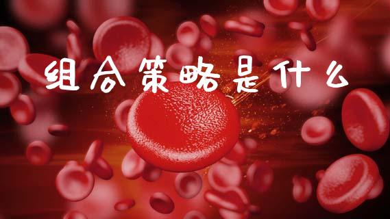组合策略是什么_https://wap.yjjixie.cn_证券市场_第1张