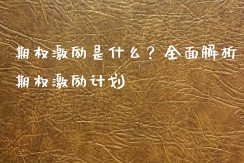 期权激励是什么？全面解析期权激励计划_https://wap.yjjixie.cn_港股行情_第1张