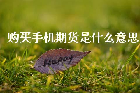 购买手机期货是什么意思_https://wap.yjjixie.cn_港股行情_第1张