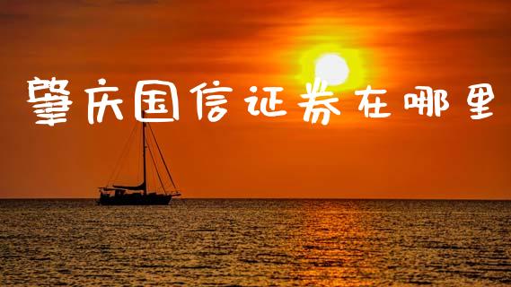 肇庆国信证券在哪里_https://wap.yjjixie.cn_港股行情_第1张