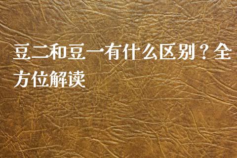 豆二和豆一有什么区别？全方位解读_https://wap.yjjixie.cn_商业资讯_第1张