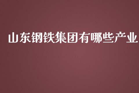 山东钢铁集团有哪些产业_https://wap.yjjixie.cn_港股行情_第1张