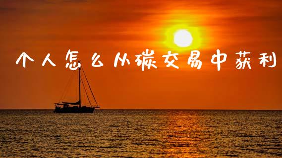 个人怎么从碳交易中获利_https://wap.yjjixie.cn_保险理财_第1张