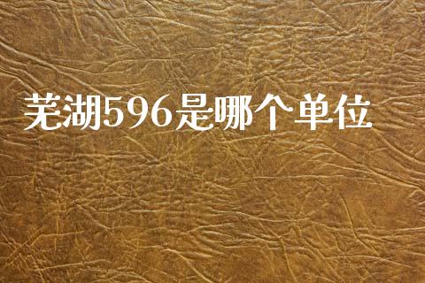 芜湖596是哪个单位_https://wap.yjjixie.cn_证券市场_第1张
