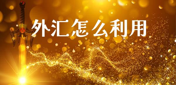 外汇怎么利用_https://wap.yjjixie.cn_港股行情_第1张