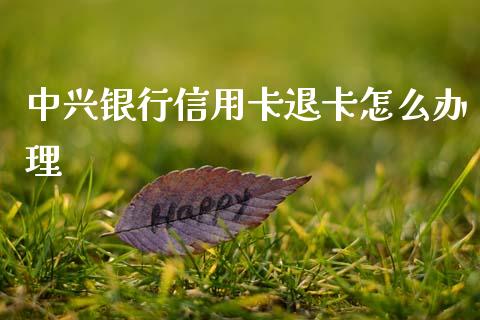 中兴银行信用卡退卡怎么办理_https://wap.yjjixie.cn_港股行情_第1张