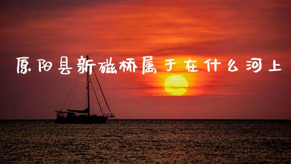 原阳县新磁桥属于在什么河上_https://wap.yjjixie.cn_证券市场_第1张