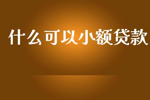 什么可以小额贷款_https://wap.yjjixie.cn_商业资讯_第1张