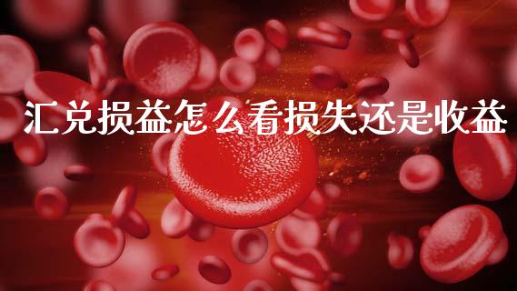 汇兑损益怎么看损失还是收益_https://wap.yjjixie.cn_商业资讯_第1张