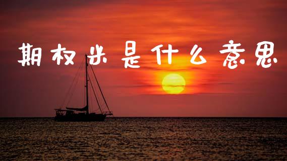 期权米是什么意思_https://wap.yjjixie.cn_保险理财_第1张