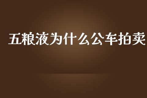 五粮液为什么公车拍卖_https://wap.yjjixie.cn_商业资讯_第1张
