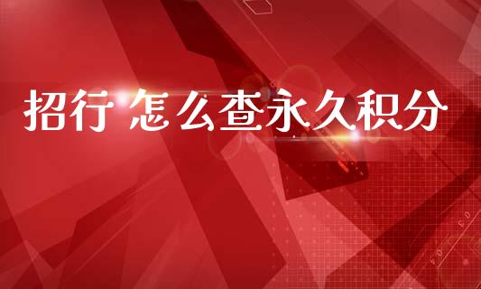 招行 怎么查永久积分_https://wap.yjjixie.cn_保险理财_第1张