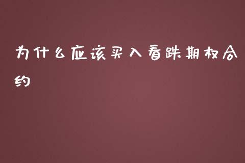 为什么应该买入看跌期权合约_https://wap.yjjixie.cn_港股行情_第1张