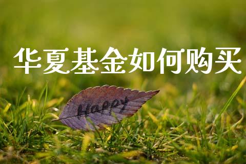 华夏基金如何购买_https://wap.yjjixie.cn_证券市场_第1张