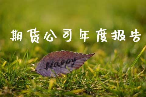 期货公司年度报告_https://wap.yjjixie.cn_保险理财_第1张
