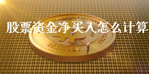股票资金净买入怎么计算_https://wap.yjjixie.cn_商业资讯_第1张