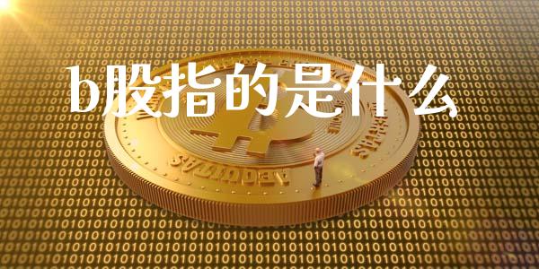 b股指的是什么_https://wap.yjjixie.cn_商业资讯_第1张