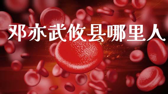 邓亦武攸县哪里人_https://wap.yjjixie.cn_保险理财_第1张