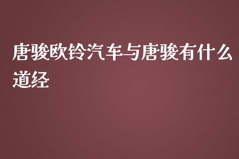 唐骏欧铃汽车与唐骏有什么道经_https://wap.yjjixie.cn_证券市场_第1张