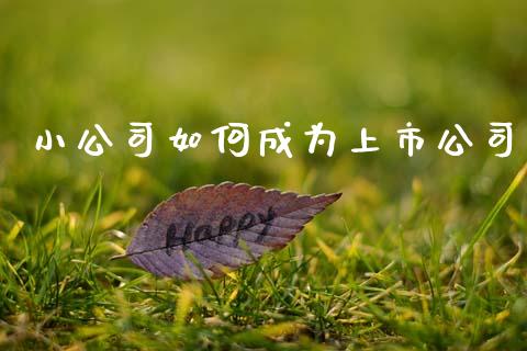小公司如何成为上市公司_https://wap.yjjixie.cn_港股行情_第1张