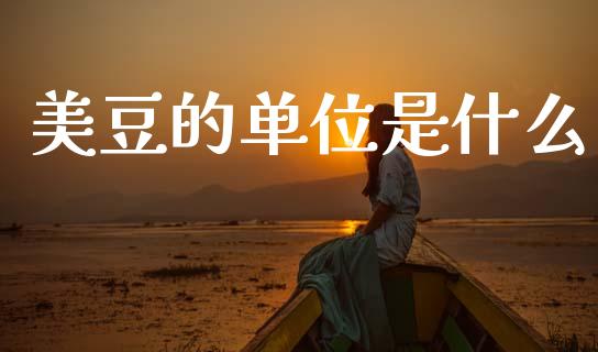 美豆的单位是什么_https://wap.yjjixie.cn_商业资讯_第1张