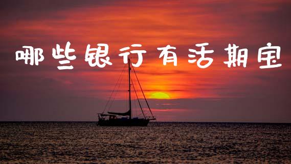 哪些银行有活期宝_证券市场_第1张_商业资讯_保险理财_证券市场_港股行情 哪些银行有活期宝_https://wap.yjjixie.cn_证券市场_第1张