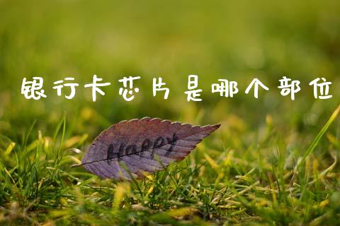银行卡芯片是哪个部位_https://wap.yjjixie.cn_港股行情_第1张