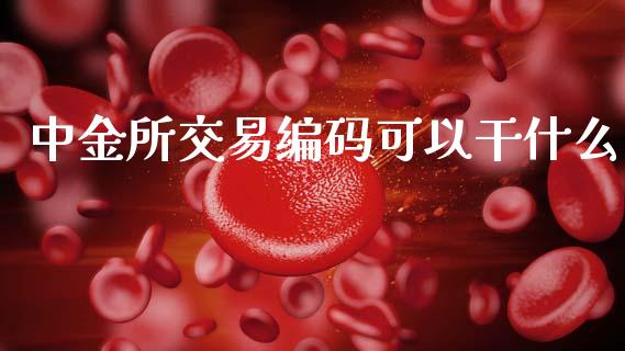 中金所交易编码可以干什么_https://wap.yjjixie.cn_证券市场_第1张