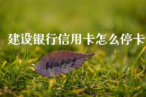 建设银行信用卡怎么停卡_https://wap.yjjixie.cn_商业资讯_第1张