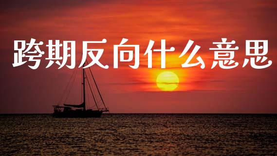 跨期反向什么意思_https://wap.yjjixie.cn_证券市场_第1张