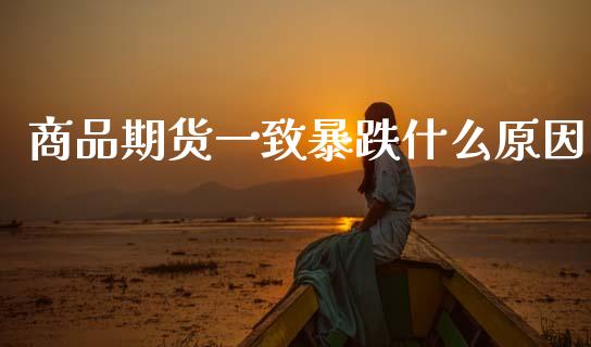 商品期货一致暴跌什么原因_https://wap.yjjixie.cn_港股行情_第1张