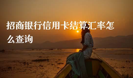 招商银行信用卡结算汇率怎么查询_https://wap.yjjixie.cn_港股行情_第1张