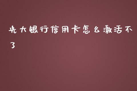 光大银行信用卡怎么激活不了_https://wap.yjjixie.cn_港股行情_第1张