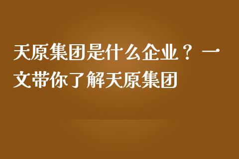 天原集团是什么企业？ 一文带你了解天原集团_https://wap.yjjixie.cn_商业资讯_第1张