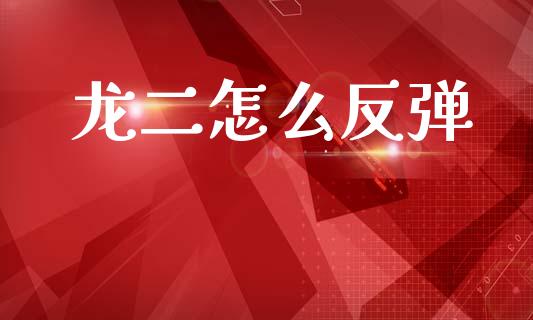 龙二怎么反弹_https://wap.yjjixie.cn_证券市场_第1张