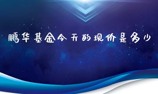 鹏华基金今天的现价是多少_https://wap.yjjixie.cn_证券市场_第1张