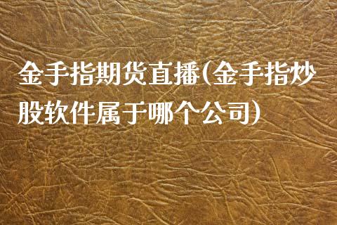 金手指期货直播(金手指炒股软件属于哪个公司)_https://wap.yjjixie.cn_港股行情_第1张