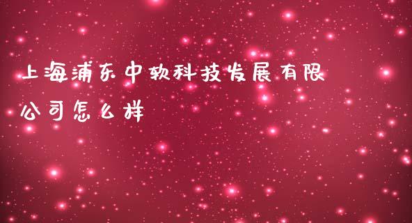 上海浦东中软科技发展有限公司怎么样_https://wap.yjjixie.cn_商业资讯_第1张