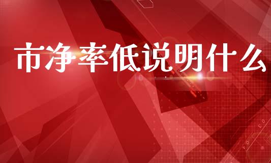 市净率低说明什么_https://wap.yjjixie.cn_保险理财_第1张