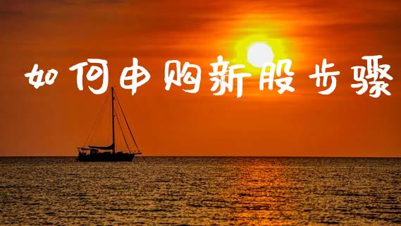 如何申购新股步骤_https://wap.yjjixie.cn_证券市场_第1张
