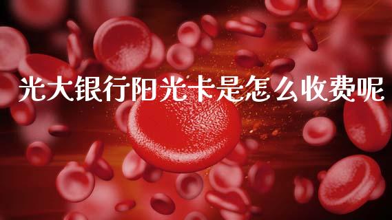光大银行阳光卡是怎么收费呢_https://wap.yjjixie.cn_港股行情_第1张