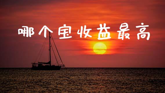 哪个宝收益最高_https://wap.yjjixie.cn_证券市场_第1张