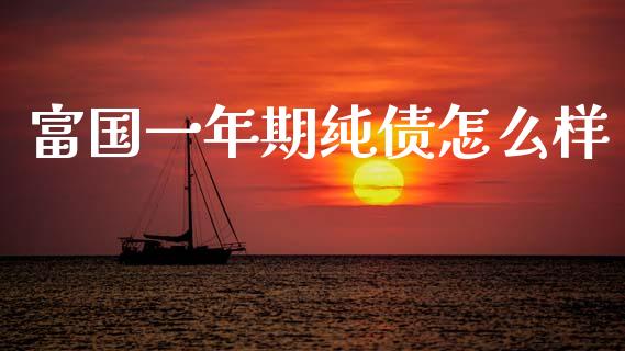 富国一年期纯债怎么样_https://wap.yjjixie.cn_港股行情_第1张