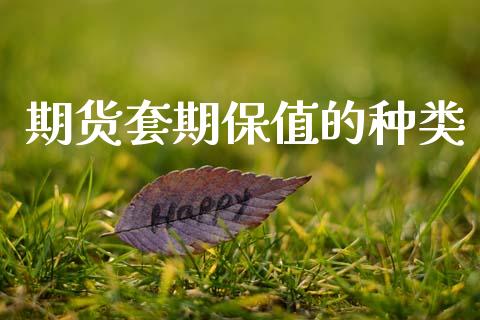期货套期保值的种类_https://wap.yjjixie.cn_港股行情_第1张