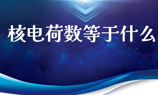 核电荷数等于什么_https://wap.yjjixie.cn_商业资讯_第1张