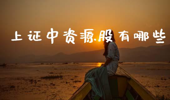 上证中资源股有哪些_https://wap.yjjixie.cn_证券市场_第1张
